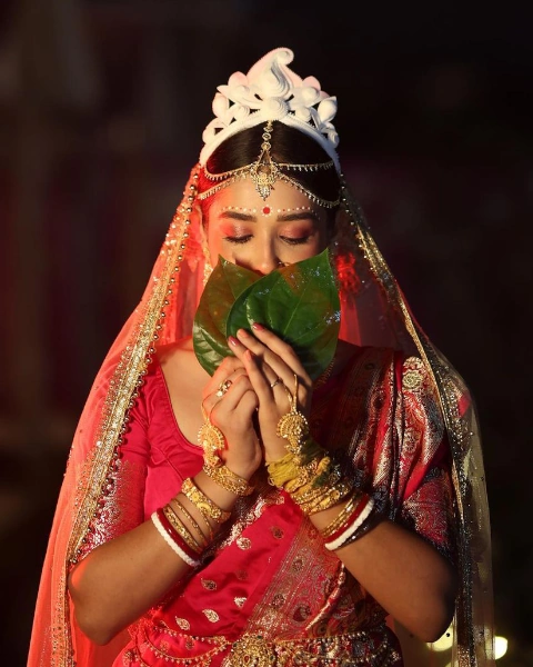 Roshni Bhattacharya Marriage
