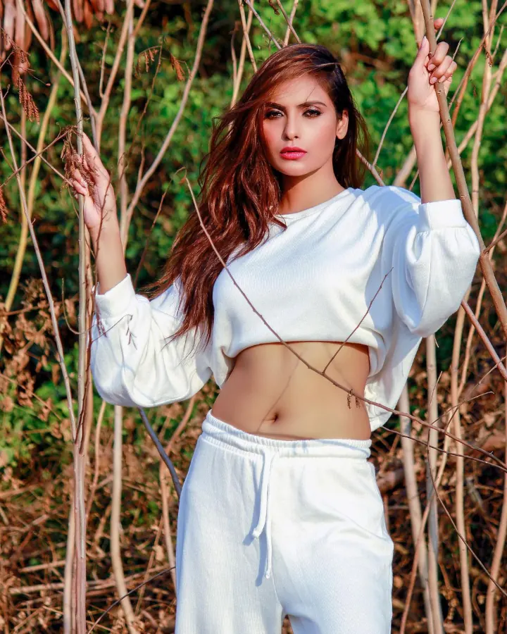 Ayeesha S Aiman Navel