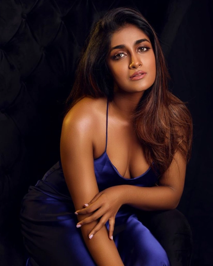 Dimple Hayathi Biography