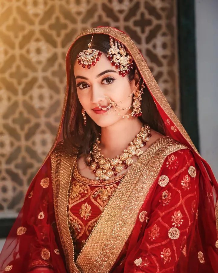 Aditi Sharma Marriage